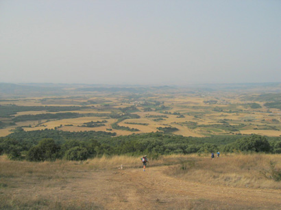 images/Afbeelding 005.jpg