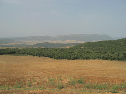 images/Afbeelding 012.jpg