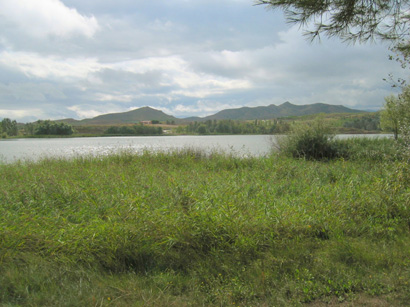 images/Afbeelding 020.jpg