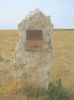 images/Afbeelding 031.jpg