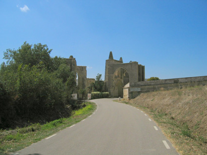 images/Afbeelding 044.jpg