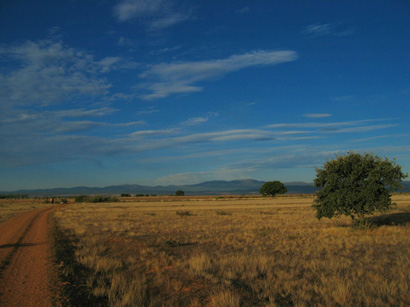 images/Afbeelding 079.jpg