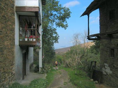 images/Afbeelding 101.jpg