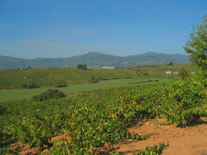 images/Afbeelding 115.jpg