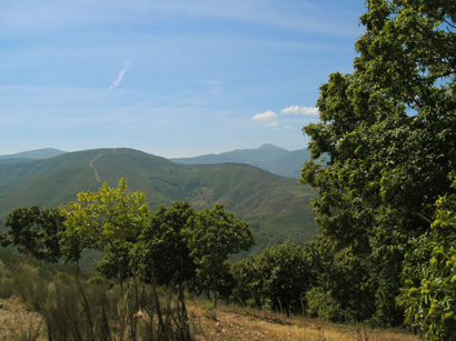 images/Afbeelding 122.jpg