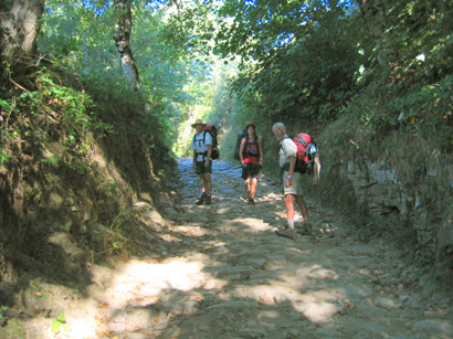 images/Afbeelding 126.jpg