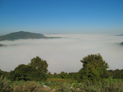 images/Afbeelding 134.jpg