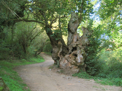 images/Afbeelding 148.jpg