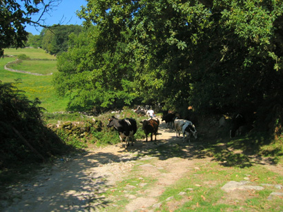 images/Afbeelding 149.jpg