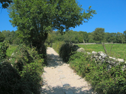 images/Afbeelding 150.jpg