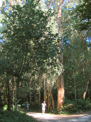 images/Afbeelding 164.jpg