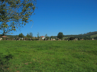 images/Afbeelding 169.jpg