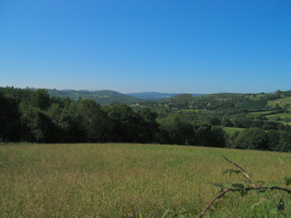 images/Afbeelding 170.jpg